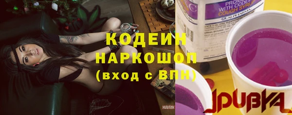 apvp Вуктыл