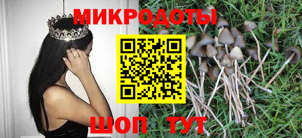 Галлюциногенные грибы Psilocybine cubensis Избербаш