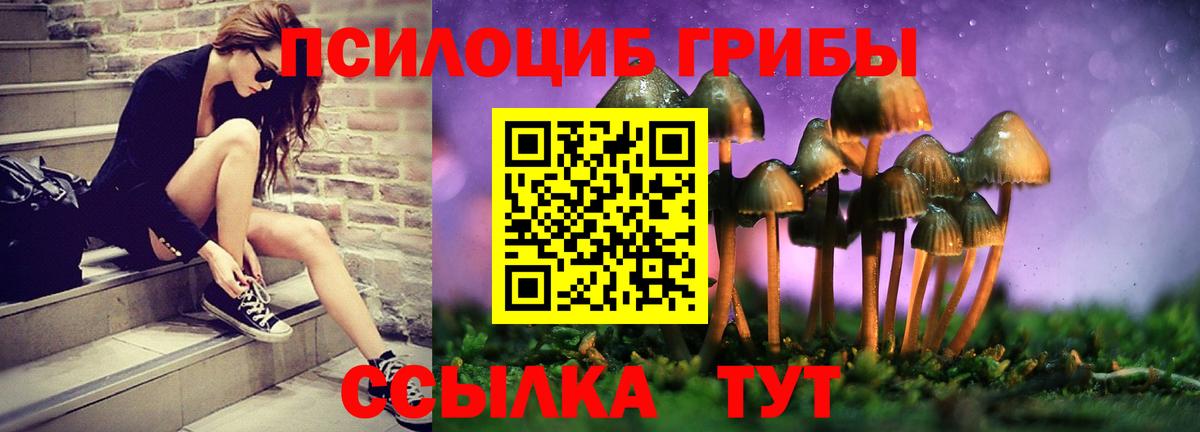 Псилоцибиновые грибы MAGIC MUSHROOMS  Вход с VPN  Избербаш  Галлюциногенные грибы ЛСД 